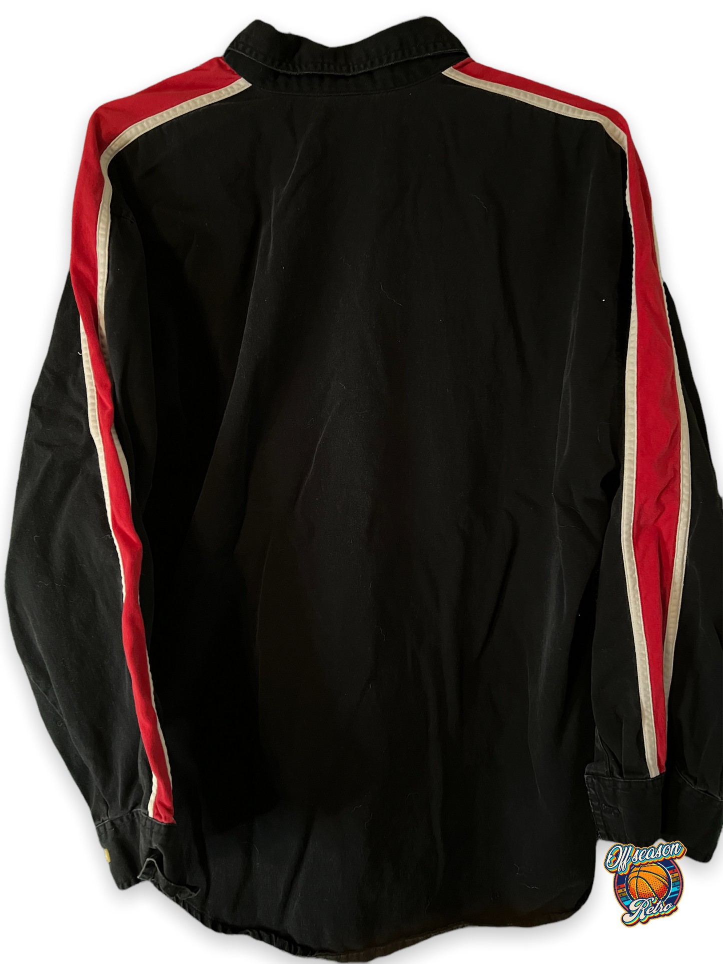Dale Earnhardt LS